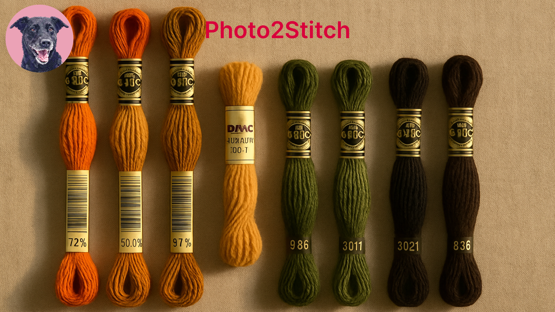 Autumn Thread Colors for Cross Stitch and Needlepoint: DMC Numbers and Wool Palettes