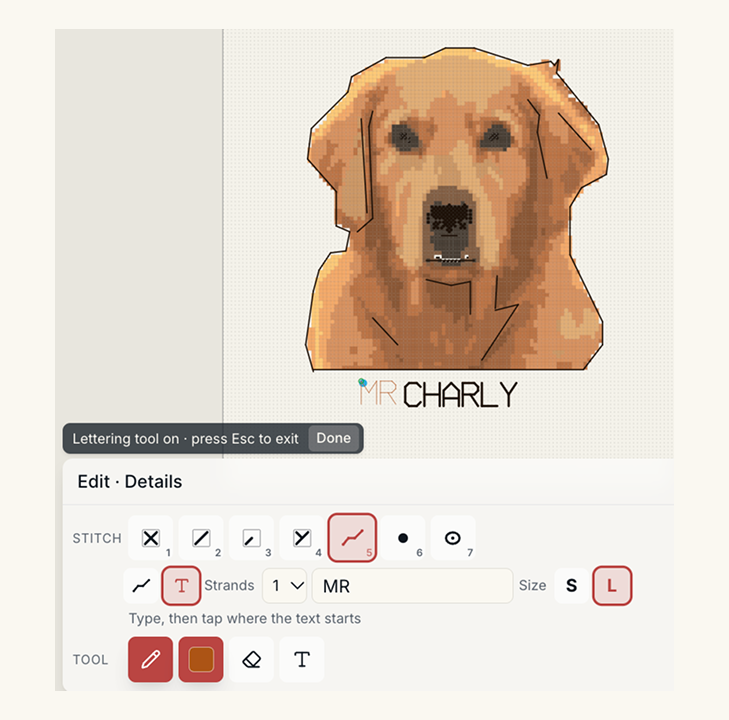 Backstitch lettering options with a name typed in, size and strand settings, and a live preview of the text on the canvas