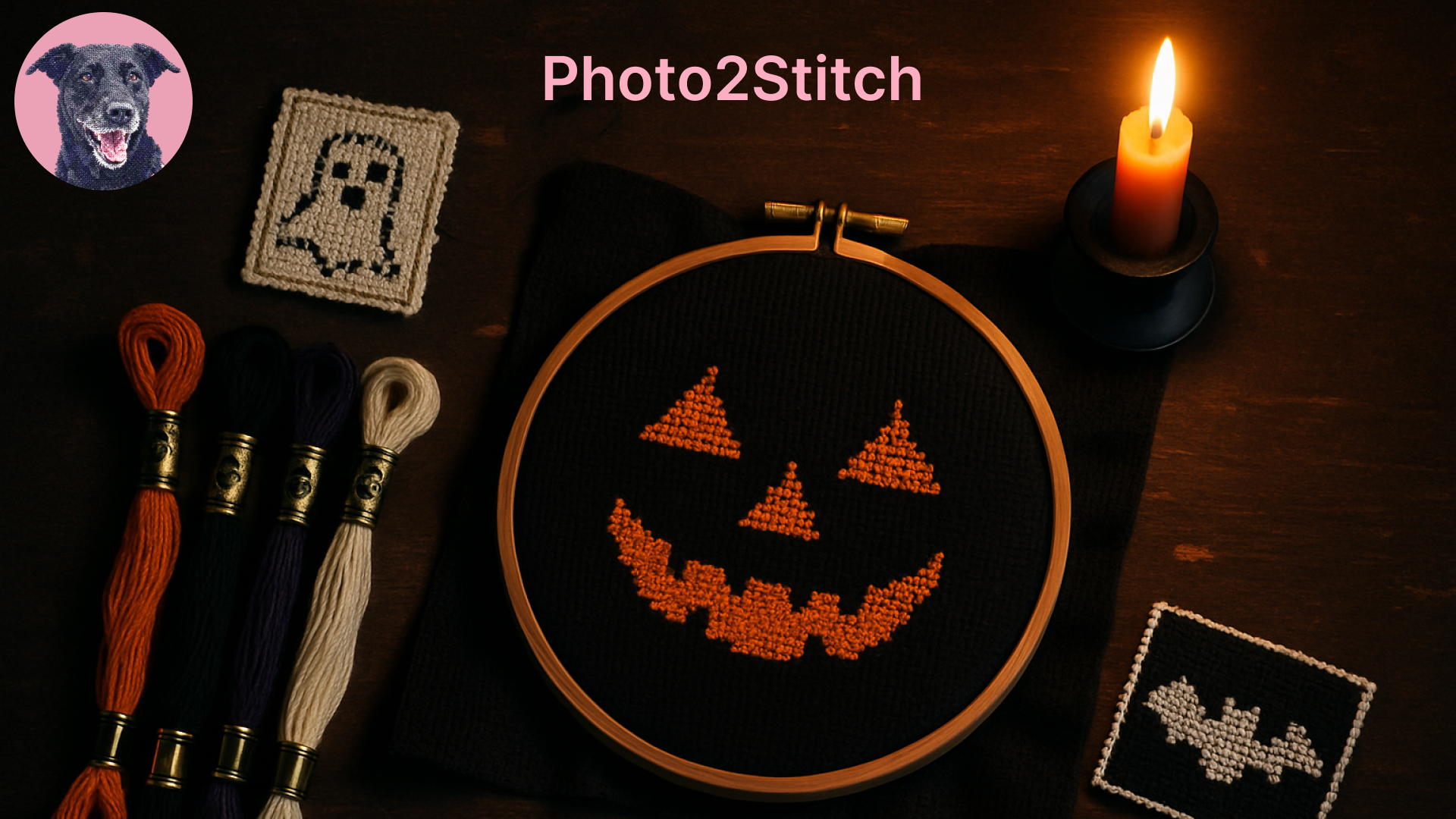 Halloween Cross Stitch and Needlepoint Patterns from Photos: Pets, Pumpkins, and the Spooky Palette