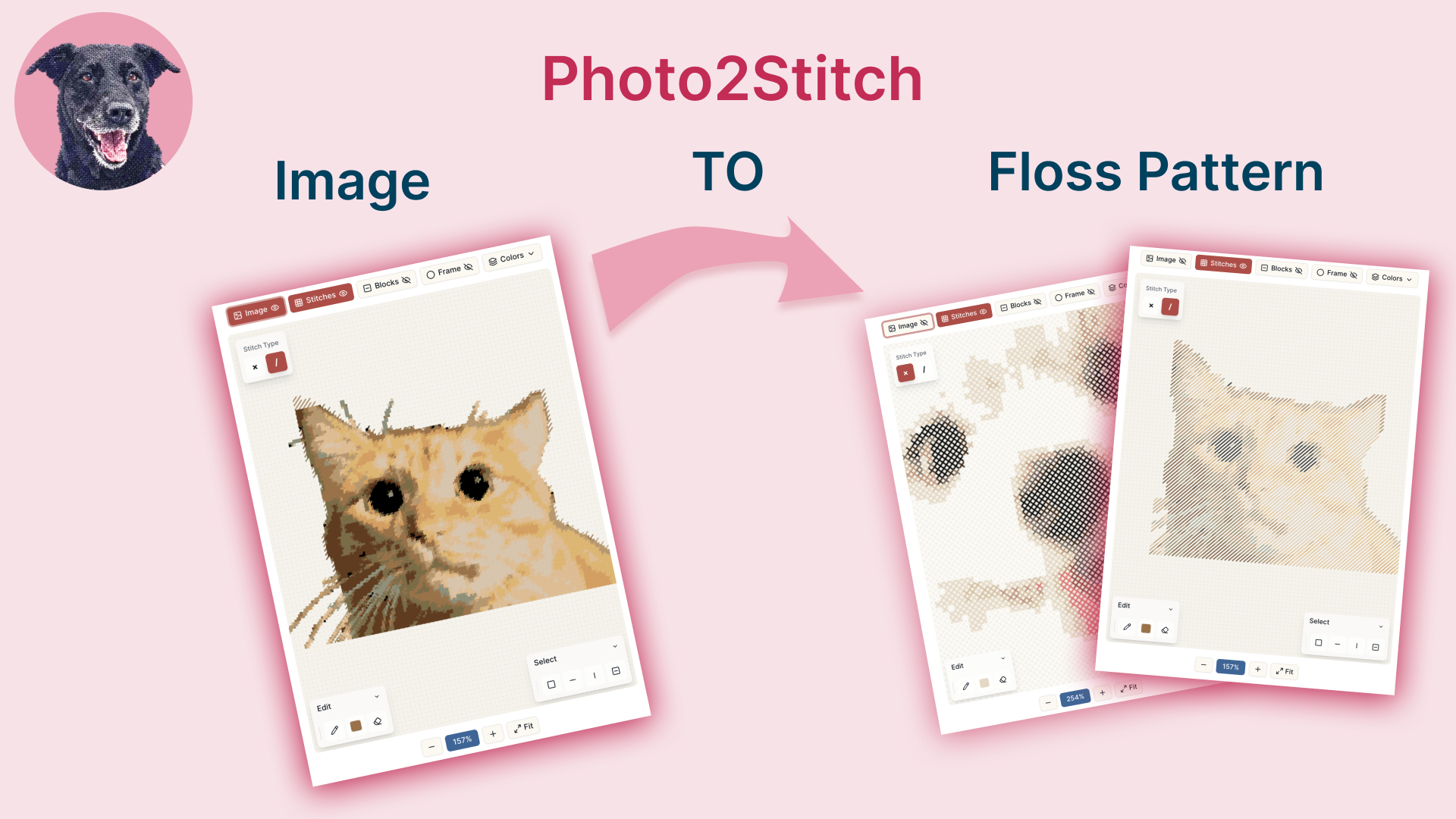 How to Turn a Photo into a Floss Pattern