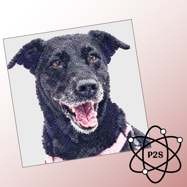 Generate Preview and Checkout