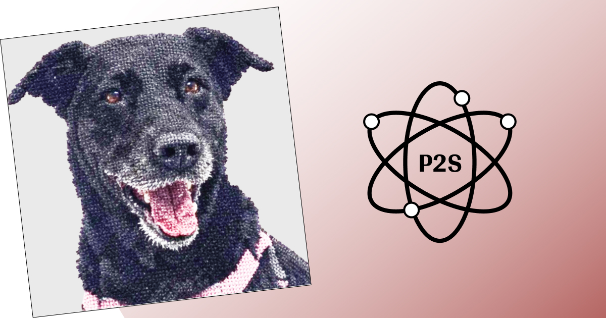 Generate Preview & Checkout